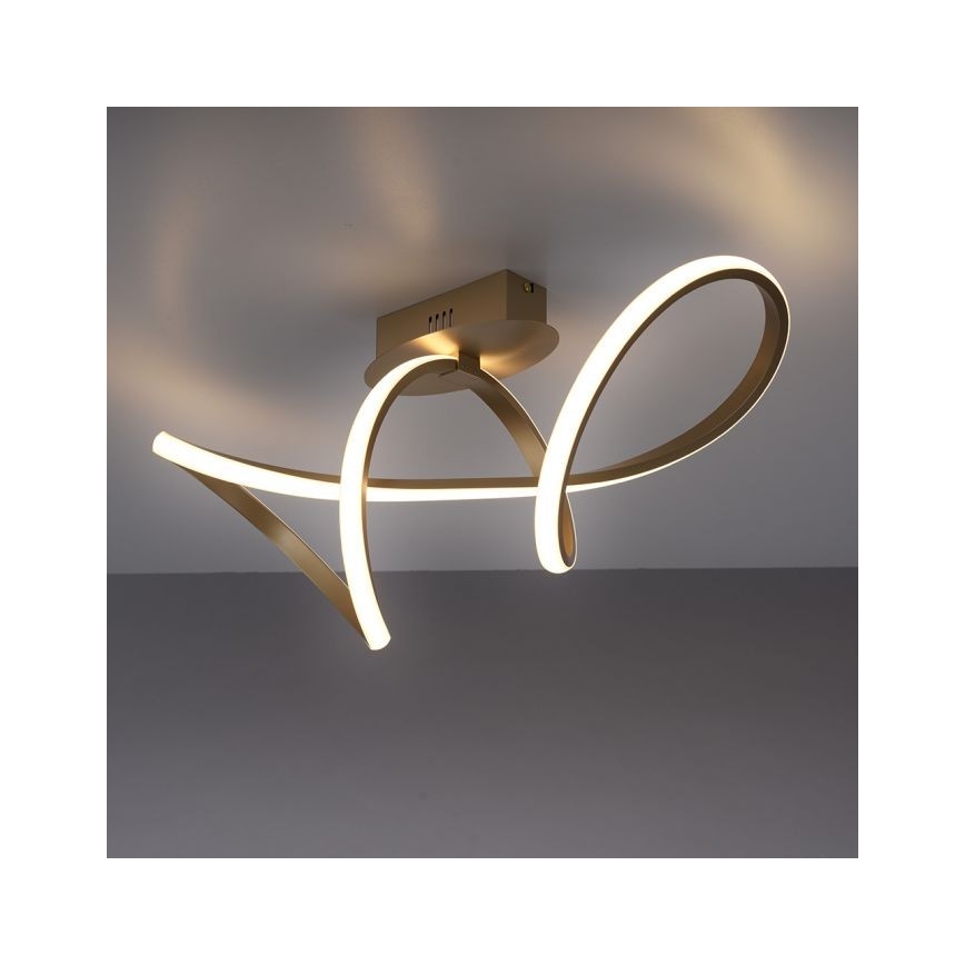 Leuchten Direkt 15403-60 - LED Dimmable πλαφονιέρα οροφής MARIA LED/15,5W/230V