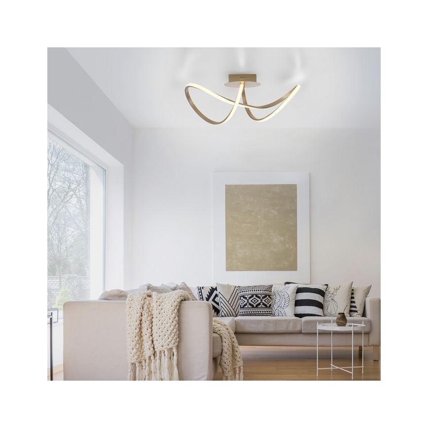 Leuchten Direkt 15403-60 - LED Dimmable πλαφονιέρα οροφής MARIA LED/15,5W/230V