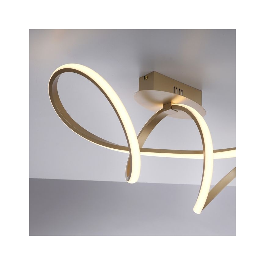 Leuchten Direkt 15403-60 - LED Dimmable πλαφονιέρα οροφής MARIA LED/15,5W/230V