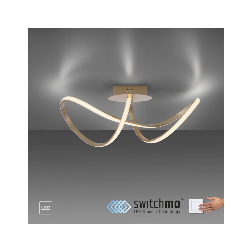 Leuchten Direkt 15403-60 - LED Dimmable πλαφονιέρα οροφής MARIA LED/15,5W/230V