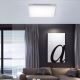 Leuchten Direkt 15551-16 - Φως οροφής dimmer LED CANVAS LED/24W/230V + τηλεχειριστήριο