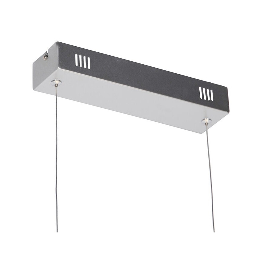 Leuchten Direkt 19033-21 - Ρυθμιζόμενο LED φωτιστικό οροφής με καλώδιο CURLS LED/40,8W/230V