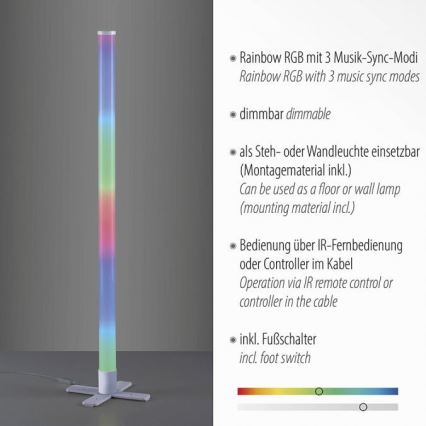 Leuchten Direkt 19902-21 - Φωτιστικό LED RGB Dimmable RINGO LED/10W/230V+RC