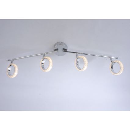 Leuchten Direkt L10504-17 - LED Σποτ ANGELO 4xLED/3,5W/230V