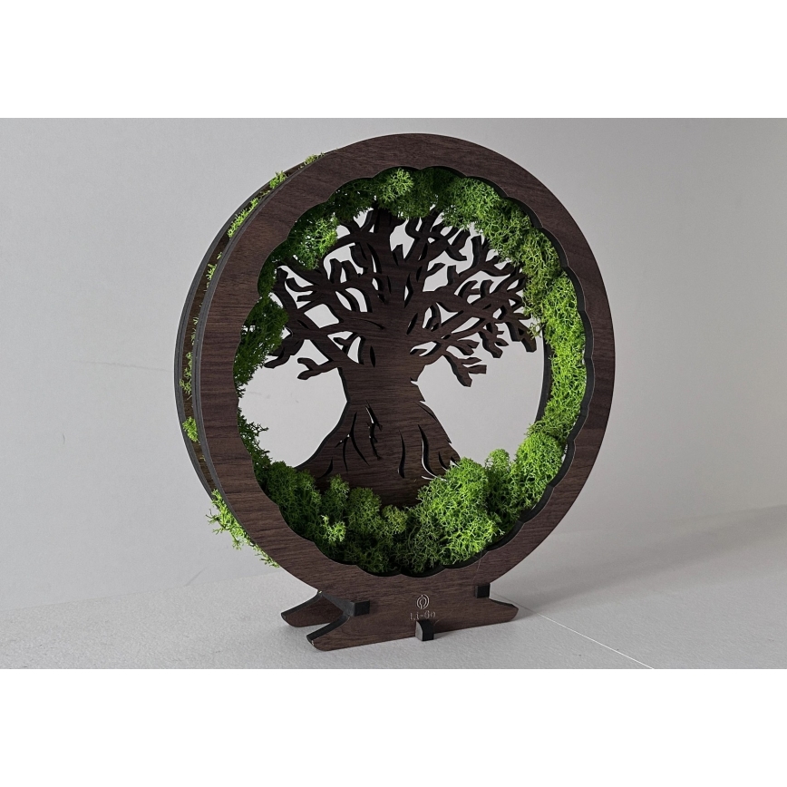 Li-Go 23604/DUB2 - Ρυθμιζόμενο επιτραπέζιο διακοσμητικό LED/12W/230V, 20x22 cm, σε απόχρωση δρυός με βρύα και σχέδιο δέντρου