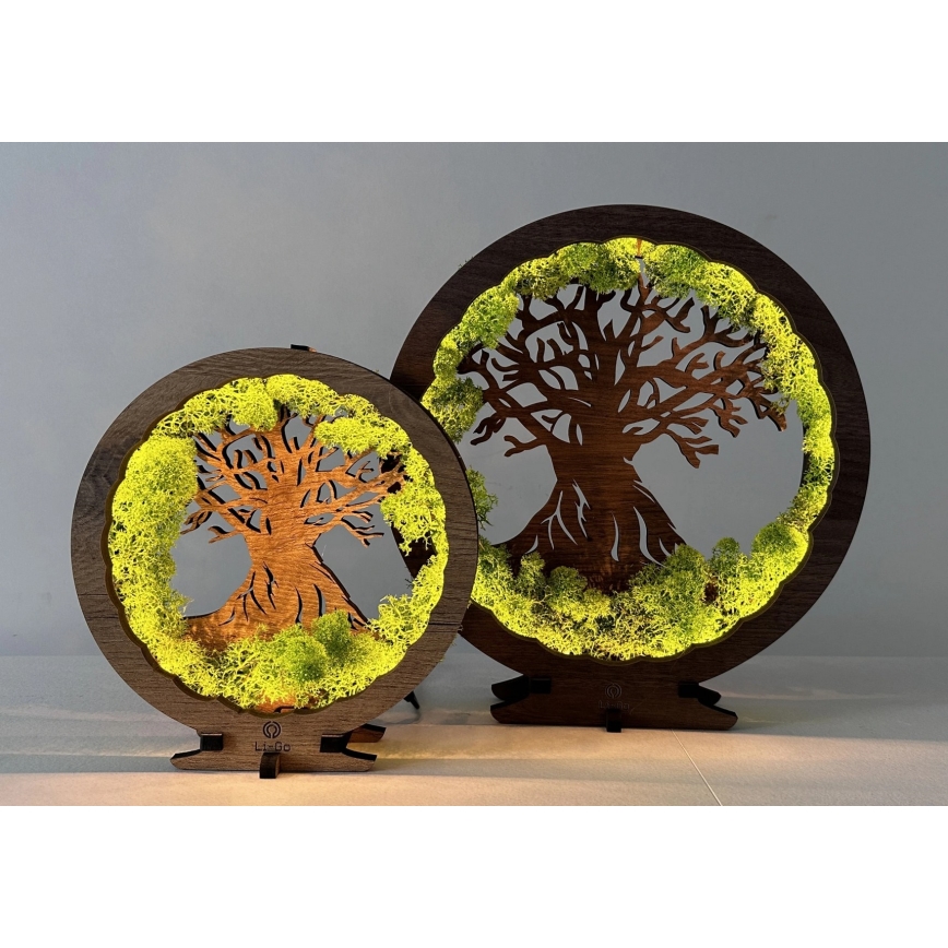 Li-Go 23604/DUB2 - LED Ρυθμιζόμενο επιτραπέζιο διακοσμητικό φωτιστικό LED/12W/230V 20x22 cm δρυς/βρύα και δέντρο