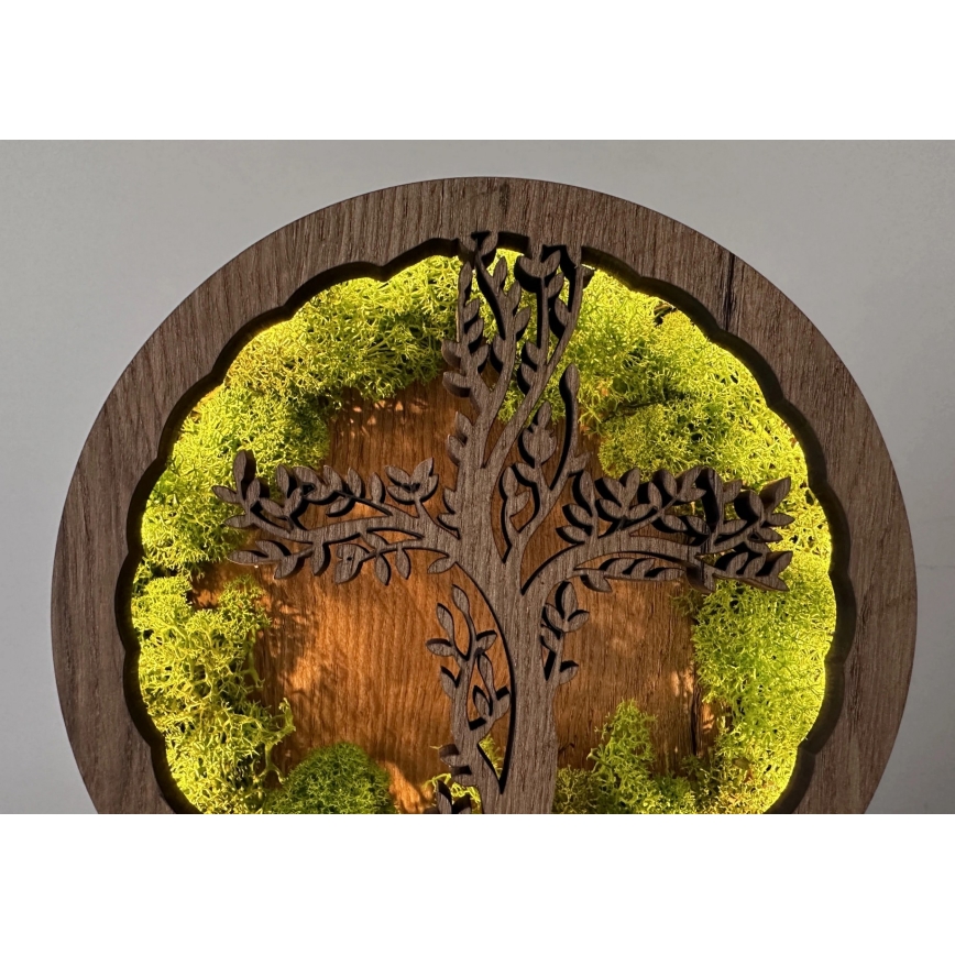 Li-Go 23622/DUB2 - LED ρυθμιζόμενο επιτραπέζιο διακοσμητικό LED/12W/230V 20x22 cm δρυς/Σταυρός σε βρύα