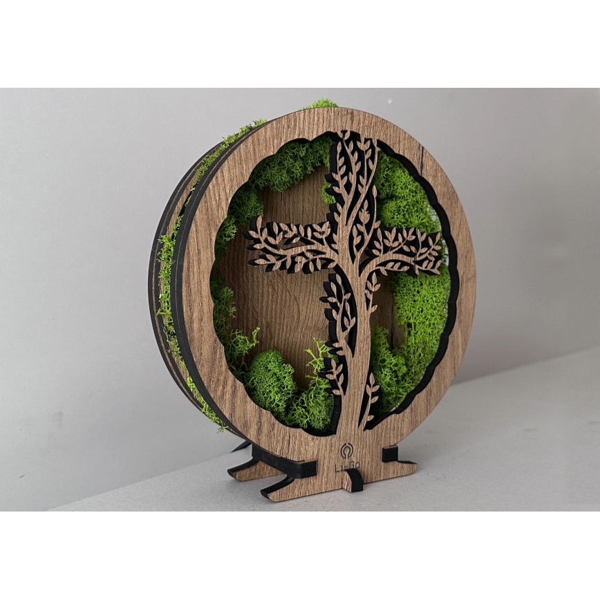 Li-Go 23622/DUB2 - LED ρυθμιζόμενο επιτραπέζιο διακοσμητικό LED/12W/230V 20x22 cm δρυς/σταυρός σε βρύα