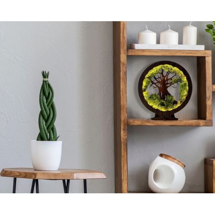 Li-Go 23631/DUB2 - Ρυθμιζόμενο επιτραπέζιο διακοσμητικό φωτιστικό LED LED/12W/230V 30x31 cm δρυς/βρύα και δέντρο