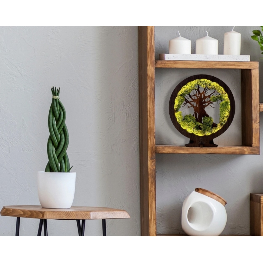 Li-Go 23631/DUB2 - Ρυθμιζόμενο επιτραπέζιο διακοσμητικό φωτιστικό LED LED/12W/230V 30x31 cm δρυς/βρύα και δέντρο