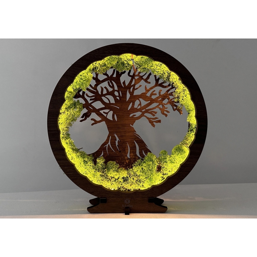 Li-Go 23631/DUB2 - Ρυθμιζόμενο επιτραπέζιο διακοσμητικό φωτιστικό LED LED/12W/230V 30x31 cm δρυς/βρύα και δέντρο