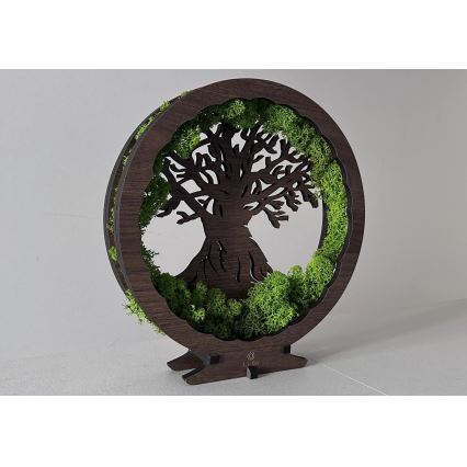 Li-Go 23631/DUB2 - Ρυθμιζόμενο επιτραπέζιο διακοσμητικό φωτιστικό LED LED/12W/230V 30x31 cm δρυς/βρύα και δέντρο