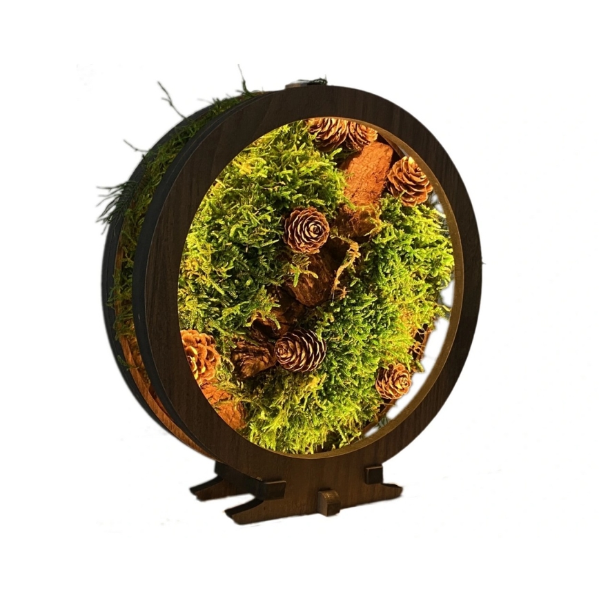 Li-Go 23654 - Ρυθμιζόμενο επιτραπέζιο διακοσμητικό φωτιστικό LED/12W/230V 20x22 cm καρυδιά/σύνθεση με βρύα