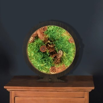 Li-Go 23654 - Ρυθμιζόμενο επιτραπέζιο διακοσμητικό φωτιστικό LED/12W/230V 20x22 cm καρυδιά/σύνθεση με βρύα