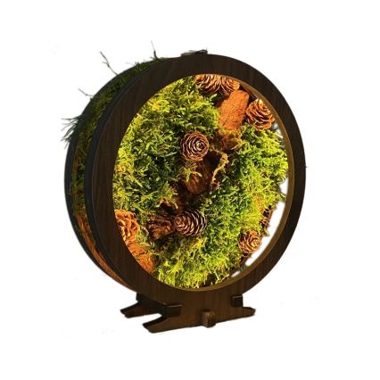 Li-Go 23654 - Ρυθμιζόμενο επιτραπέζιο διακοσμητικό LED LED/12W/230V 20x22 cm καρυδιά/Σύνθεση με βρύα