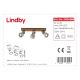 Lindby - Φωτιστικό σποτ LED MITIS 3xGU10/5W/230V
