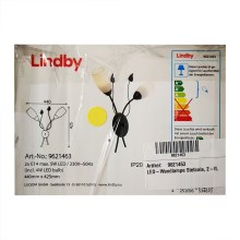Lindby - Φωτιστικό τοίχου LED STEFANIA 2xE14/4,5W/230V