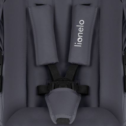 Lionelo - Συνδυαστικό καρότσι 3-σε-1 AMBER PLUS Γκρι Γραφίτης