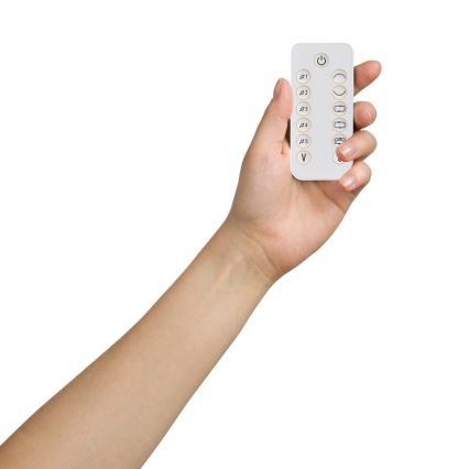 Lionelo - Παιδικό κουνιστό καθισματάκι με μελωδίες OLIVIA Beige Natural + τηλεχειριστήριο