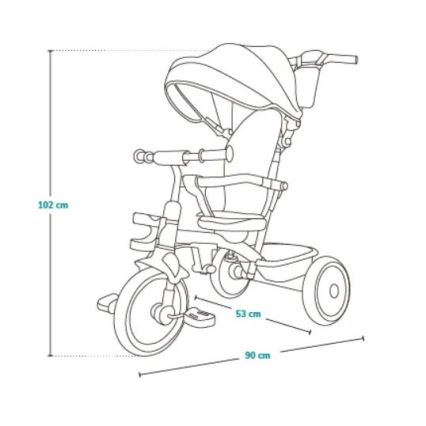 Lionelo - Παιδικό τρίκυκλο BERRY Grey Stone