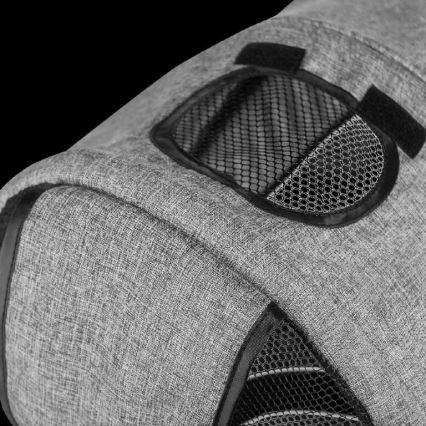 Lionelo - Παιδικό τρίκυκλο ποδήλατο TRIS γκρι