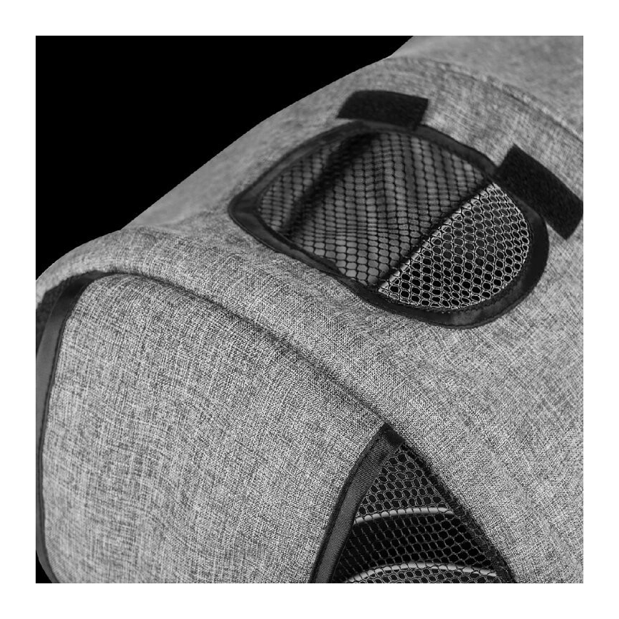 Lionelo - Παιδικό τρίκυκλο ποδήλατο TRIS γκρι