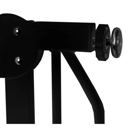 Lionelo - Πόρτα ασφαλείας TRUUS SLIM μαύρη