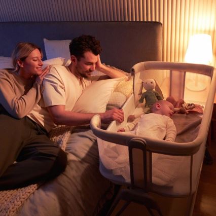 Lionelo - Βρεφική κούνια 2 σε 1 LUNA γκρι