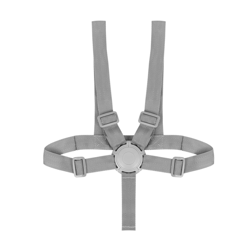 Lionelo - Παιδική καρέκλα φαγητού 4 σε 1 DALIA SET Grey Stone Natural