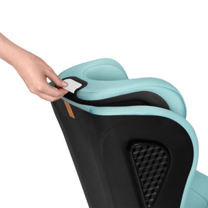 Lionelo - Παιδικό κάθισμα αυτοκινήτου NEAL i-Size 100-150 cm Πράσινο τυρκουάζ