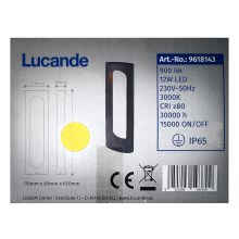 Lucande - Φωτιστικό LED εξωτερικού χώρου FENTI LED/12W/230V IP65