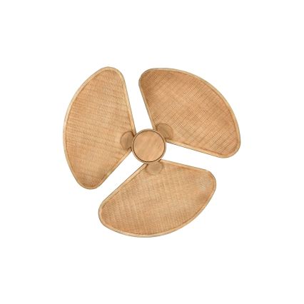 Lucci Air 21325549 - Ανεμιστήρας οροφής LED SABLE με ρύθμιση φωτεινότητας 1xGX53/12W/230V 3000/4000/5000K διάμ. 91,5 cm καφέ + τηλεχειριστήριο