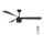 Lucci air 213281 - Οροφής ανεμιστήρας PEREGRINE 1xGX53/12W/230V μαύρο + τηλεχειριστήριο