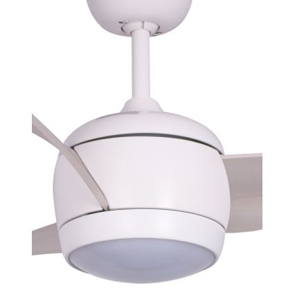 Lucci air 512911 - LED Ανεμιστήρας οροφής AIRFUSION LED/20W/230V ξύλο/λευκό + RC