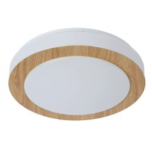 Lucide 79179/12/72 - Φως οροφής μπάνιου Επιτραπέζια λάμπα LED DIMY LED/12W/230V