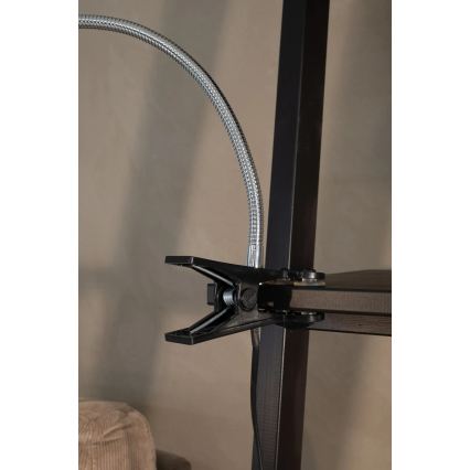 Markslöjd 106092 - Επιτραπέζια λάμπα LED με κλιπ TULIP LED / 3W / 230V μαύρο