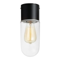 Markslöjd 107796 - Φωτιστικό οροφής μπάνιου ZEN 1xE27/15W/230V IP44