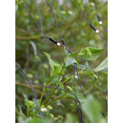 Markslöjd 108178 - LED εξωτερική χριστουγεννιάτικη κουρτίνα GARDEN24 160xLED/24V 2x2m θερμό λευκό