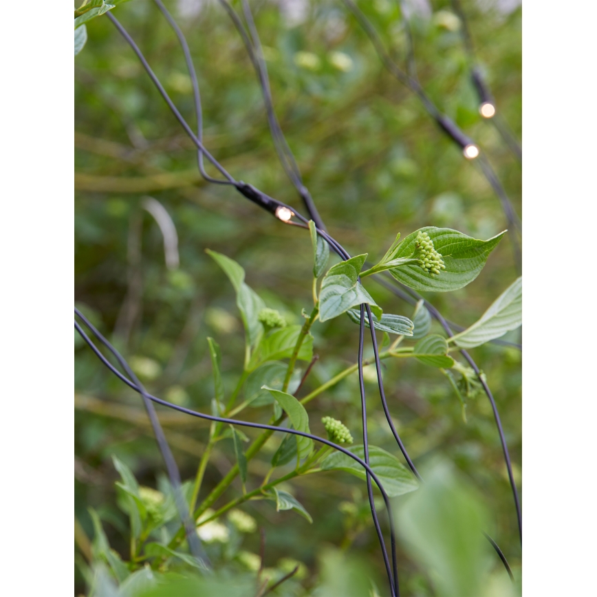 Markslöjd 108178 - LED εξωτερική χριστουγεννιάτικη κουρτίνα GARDEN24 160xLED/24V 2x2m θερμό λευκό