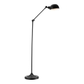 Markslöjd 108586 - Επιδαπέδια λάμπα PORTLAND 1xE27/40W/230V μαύρο