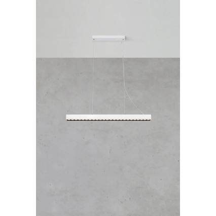 Markslöjd 108892 - Ρυθμιζόμενο κρεμαστό φωτιστικό LED με καλώδιο PLANO LED/38W/230V λευκό