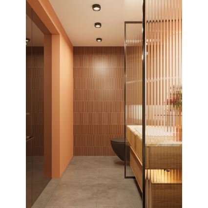 MAXLIGHT C0204 - Φωτιστικό οροφής μπάνιου LED KODAK LED/8W/230V διάμετρος 10,8 cm IP44 μαύρο