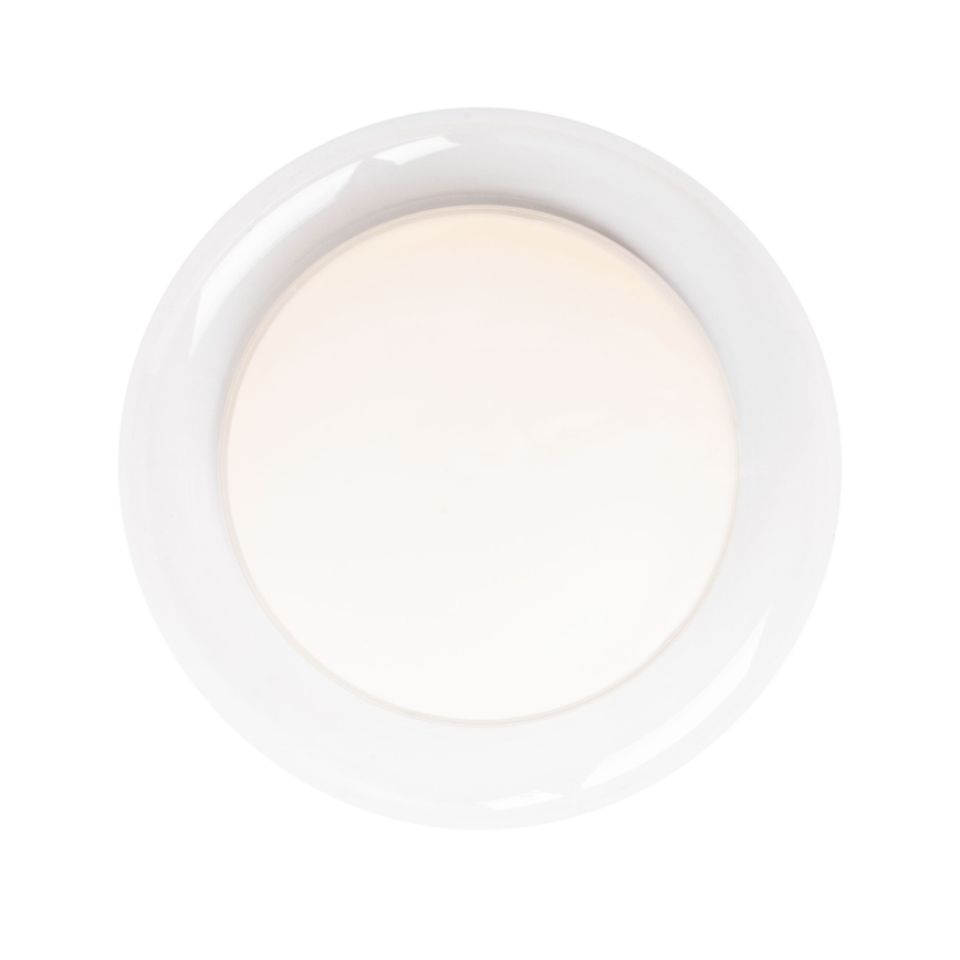 MAXLIGHT C0233 - Φωτιστικό οροφής LED DUO LED/10W/230V διάμετρος 34 cm λευκό