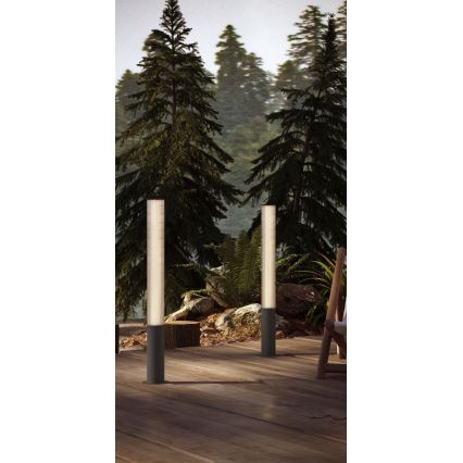 MAXLIGHT F0065 - LED εξωτερικό φωτιστικό GARDENIA LED/25W/230V 105 cm CRI 93 IP65 ανθρακί