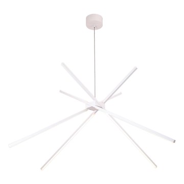 MAXLIGHT P0270 -  Κρεμαστό φωτιστικό οροφής LED ΑΡΑΧΝΗ LED/33W/230V λευκό