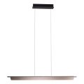 MAXLIGHT P0597 - Ρυθμιζόμενο LED φωτιστικό οροφής με καλώδιο JO-JO LED/40W/230V 2700/4500/5500K ανθρακί