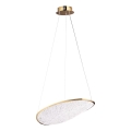MAXLIGHT P0637D - LED κρεμαστό φωτιστικό με καλώδιο EMPIRE LED/17W/230V χρυσό