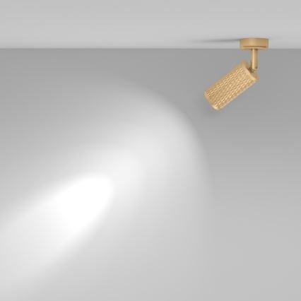 Maytoni C034CL-01G - Σημειακό φωτιστικό FOCUS 1xGU10/10W/230V χρυσό