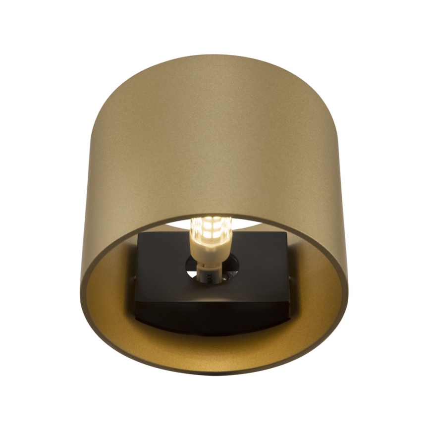 Maytoni C066WL-01MG - Φωτιστικό τοίχου ROND 1xG9/50W/230V χρυσαφί