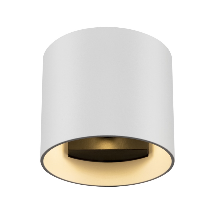 Maytoni C066WL-01W - Φωτιστικό τοίχου ROND 1xG9/50W/230V λευκό